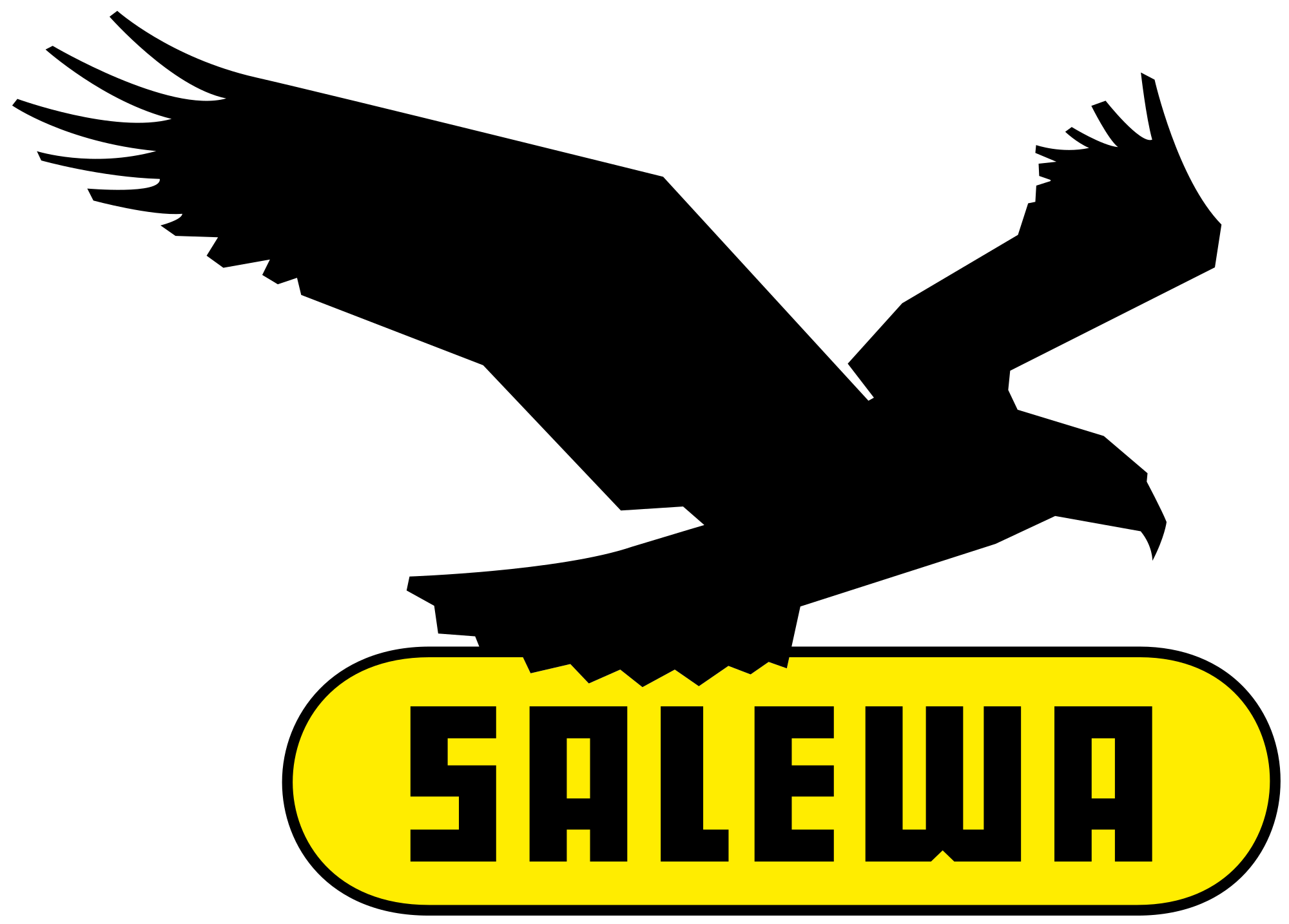 SALEWA Logo